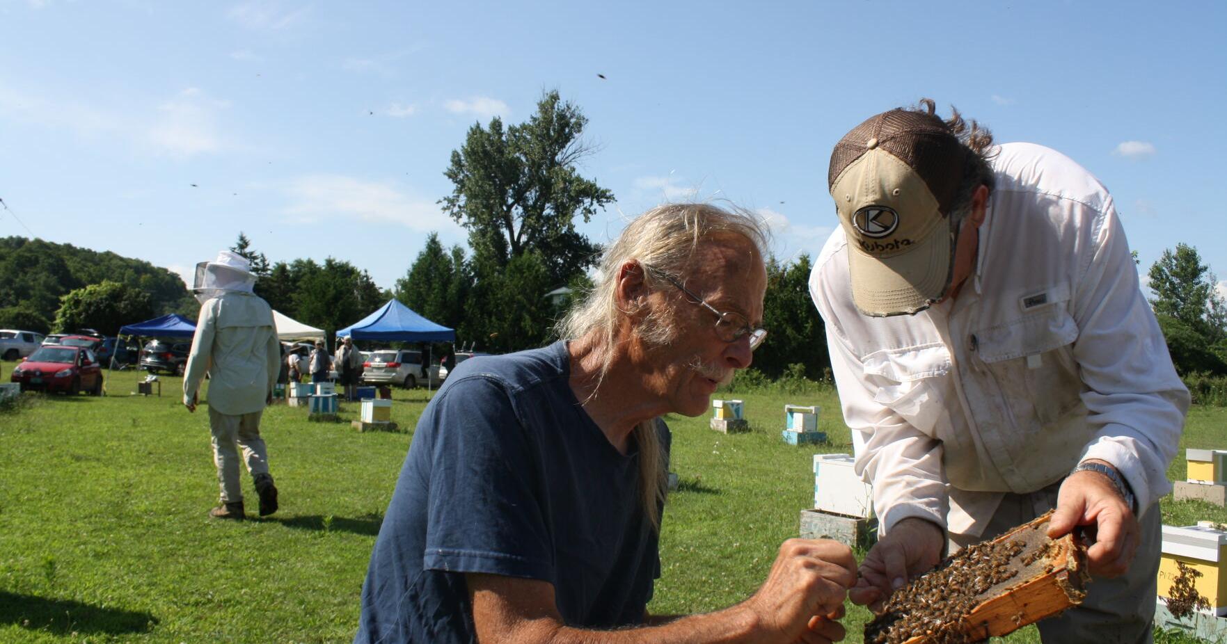Local beekeepers catch queens for famed St. Albans beekeeper Mike Palmer's 50th anniversary | Local News - Vimarsana News