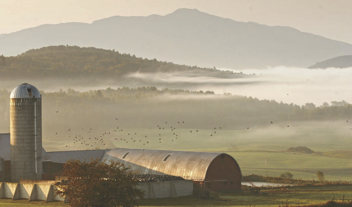 Farm24VT Vermont Farmers To Show Their Stuff In 24 Hour Event Local   5f0de558b2cc1.image 