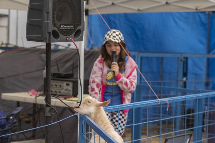 PHOTOS 67th Vermont Dairy Festival draws thousands to Enosburg Falls