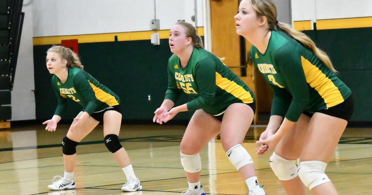 Comets beat Rice in three sets, look ahead to Pink Game | Sports ...