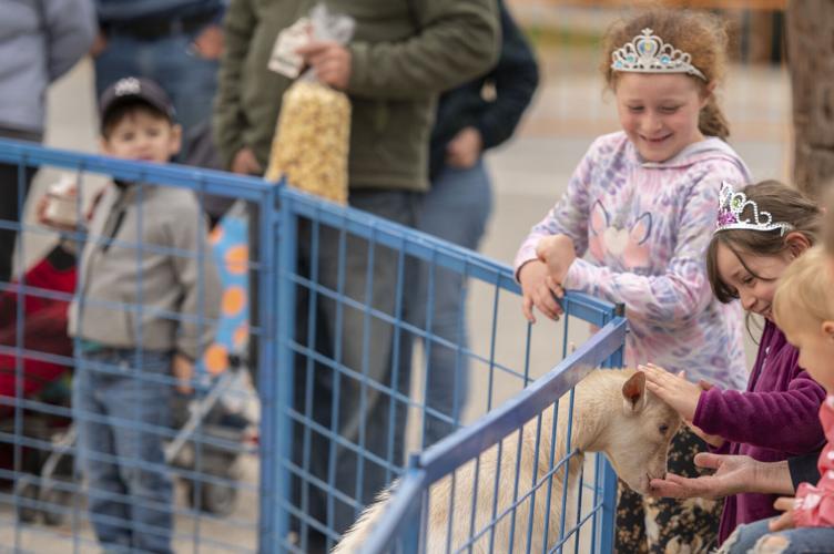 PHOTOS 67th Vermont Dairy Festival draws thousands to Enosburg Falls