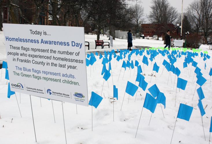 Homelessness flags in Taylor Park 2023