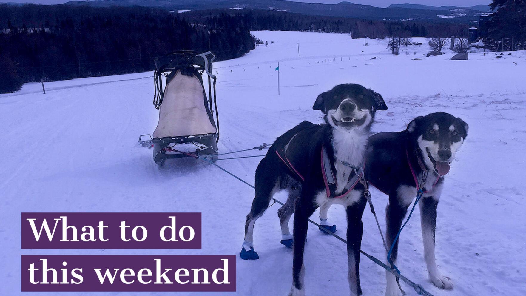 What to do this weekend, Dec. 25-27 - Vimarsana News