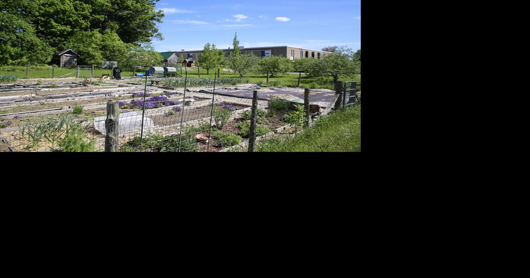 Growing joy and pride: How Franklin County's community gardens teach skills, cultivate connections