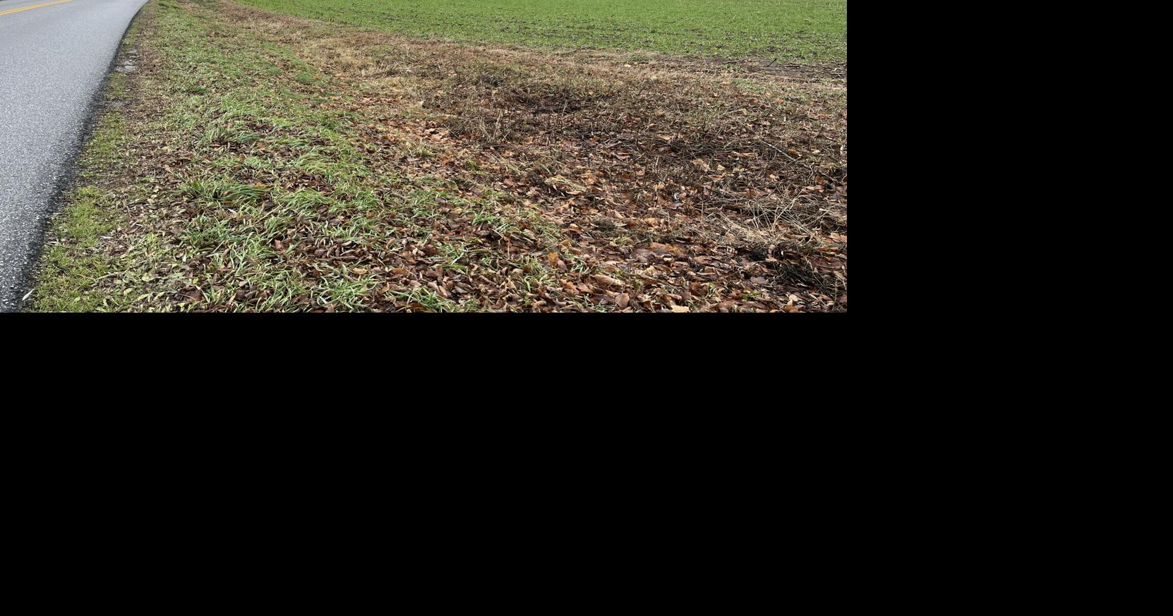 Clean Water Service Provider supports completion of water quality improvement projects in Georgia and St. Albans