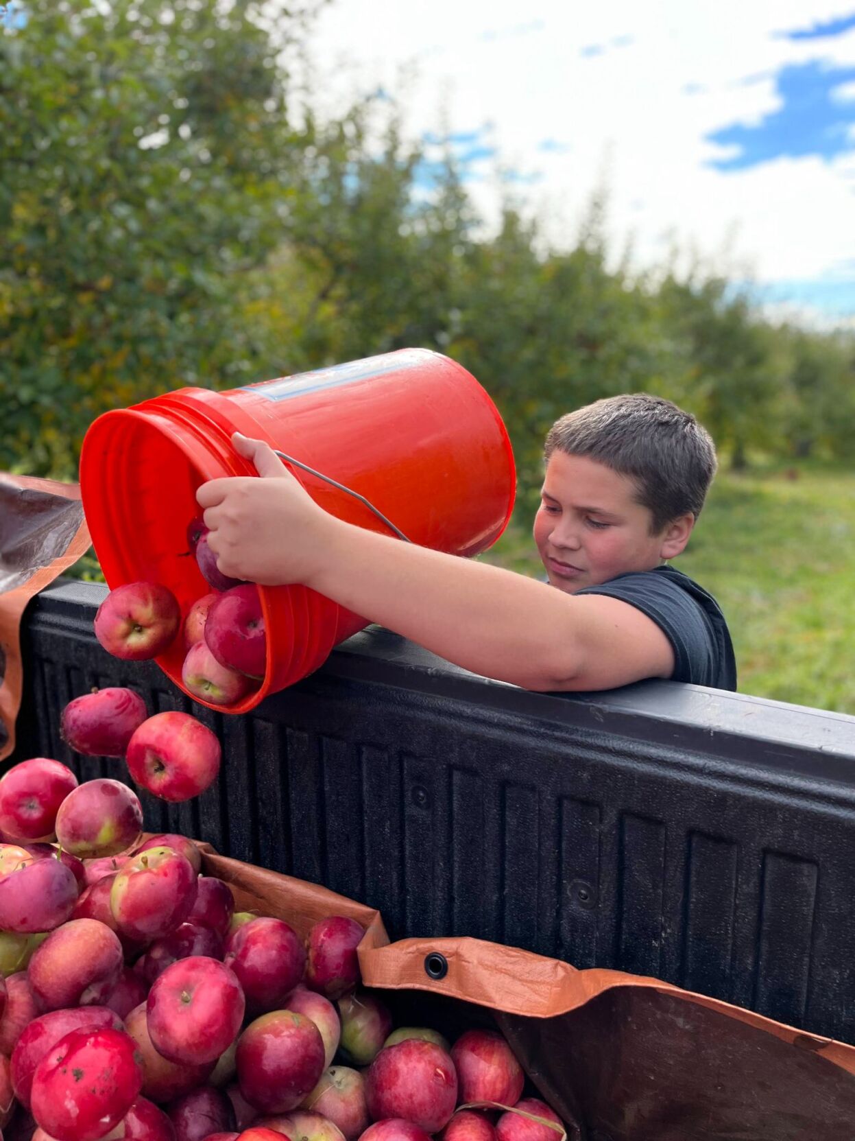 PHOTOS St. Albans City School students learn to make apple cider