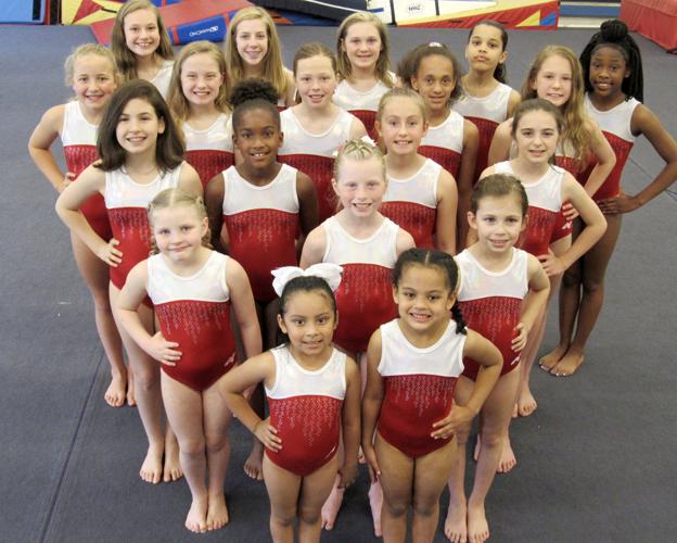 Lee County Gymnastics boasts state champs Sports