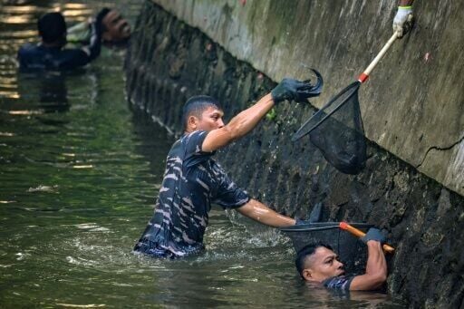 Troubled waters: Jakarta battles deadly, invasive suckerfish | News ...