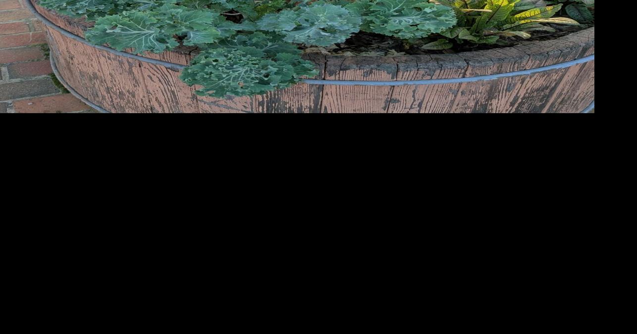 GARDEN GUIDE: Lee County Ag Week 2026 “Together We Grow” theme inspires container gardening class series