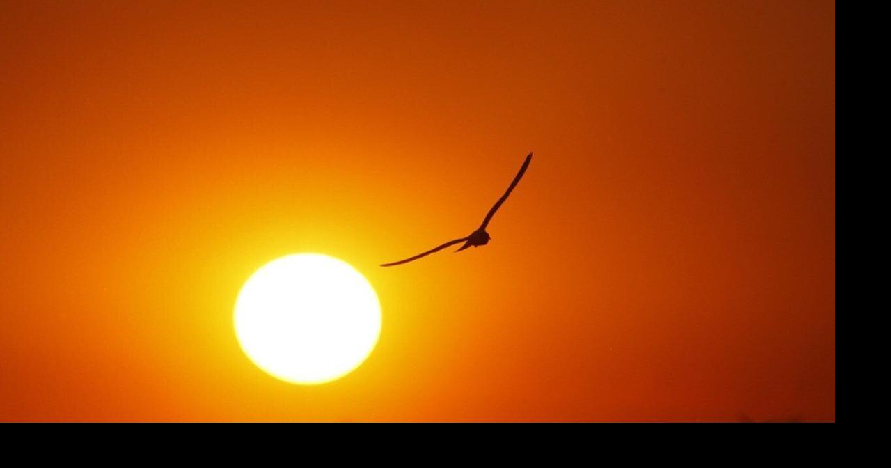 Hottest Decembers in North Carolina since 1895