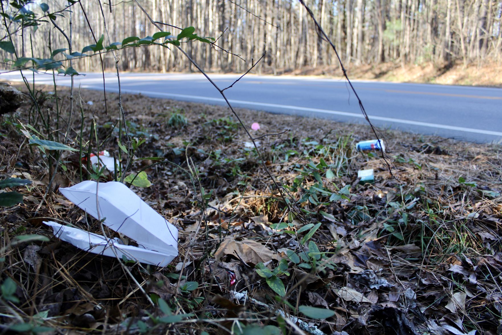 Pandemic creating a litter issue, city says - Vimarsana News