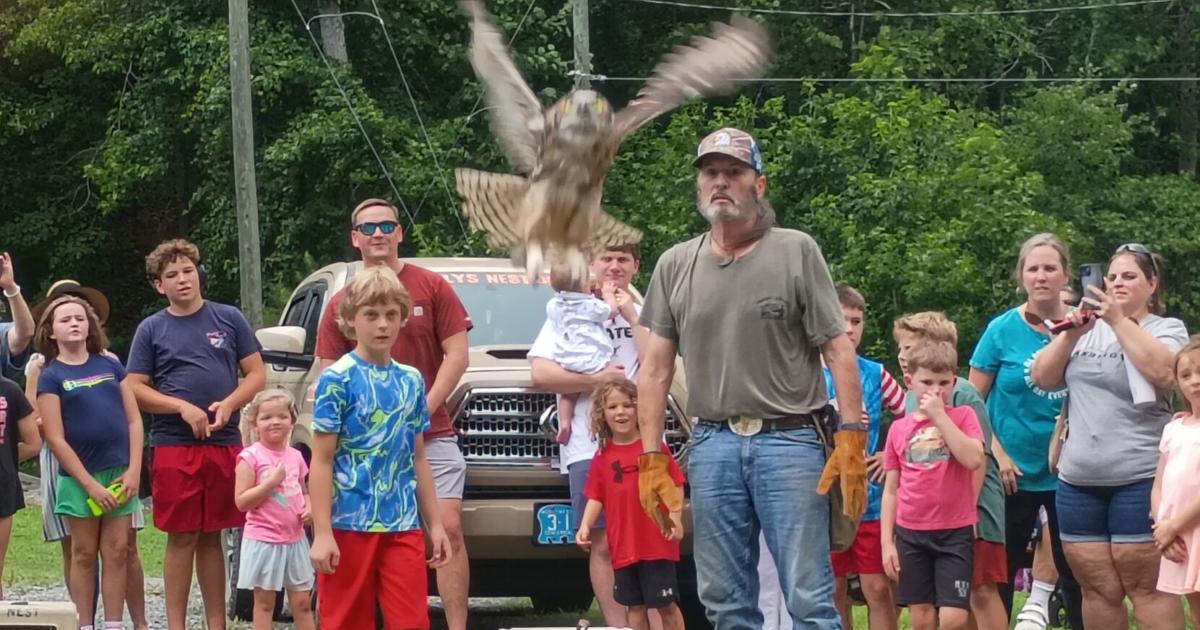 Local animal rescue releases owls back into nature