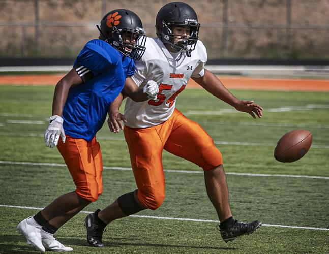 Taos Tigers' return to the top starts in the trenches, Sports