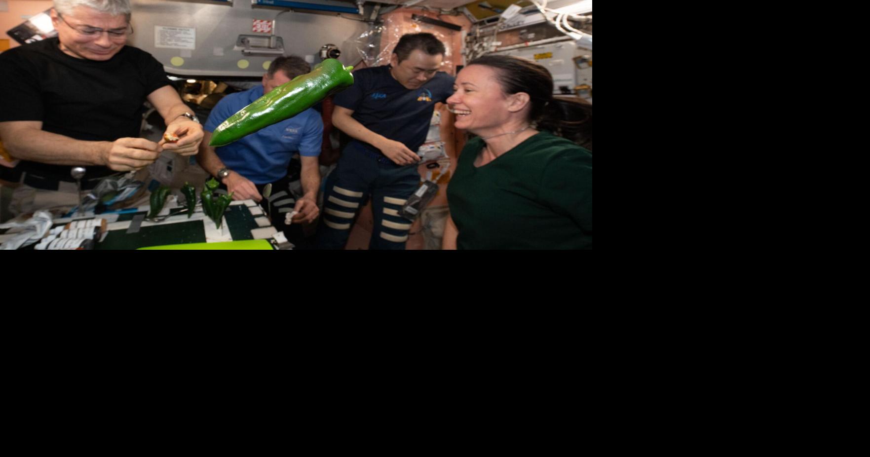 New Mexico chiles earthbound after research on plants in space trimmed