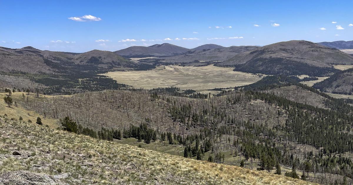 Coco Rae Canada Q&A with Coco Rae: Tips for hiking in Valles Caldera | Adventure ...