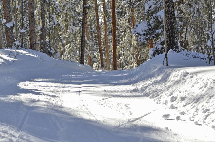 'Like rollerblading with poles' Skate skiing offers winter enthusiasts