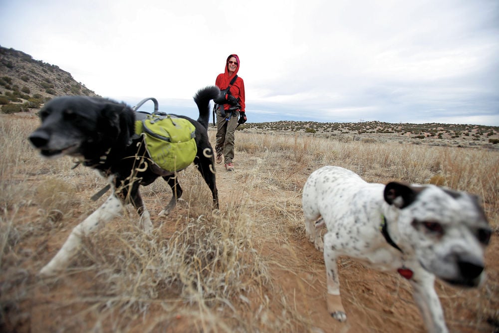 Dog loses leg after caught in trap, prompting renewed calls to ban trapping  - TrapFree New Mexico