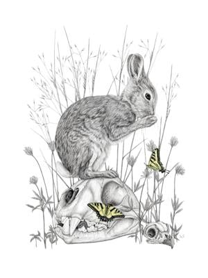 'Predator & Prey' by Sienna Van Slooten