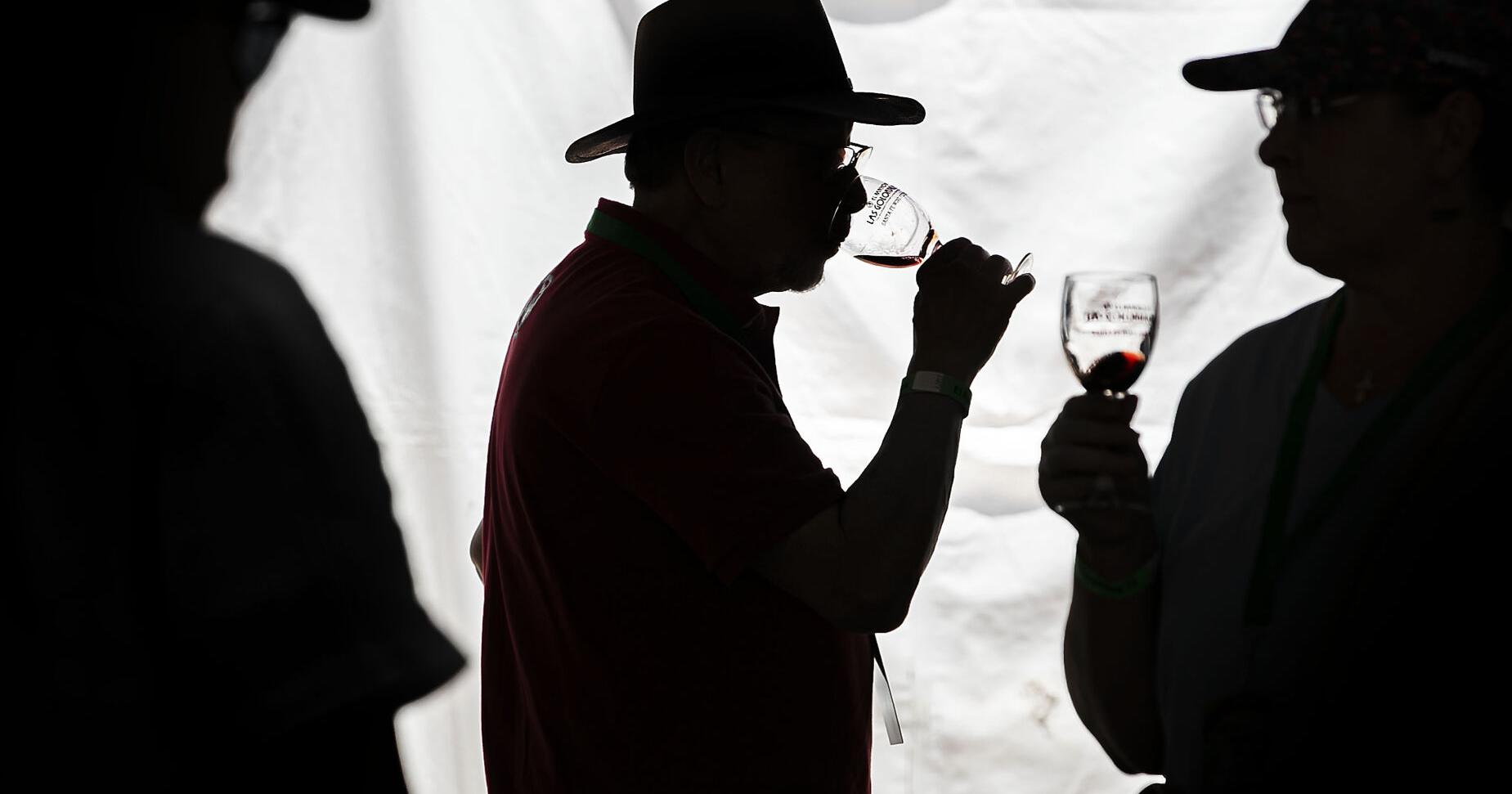 Tasting the wines at las Golondrinas - Vimarsana News