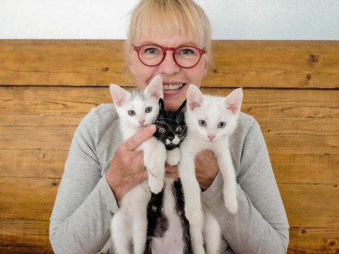 Foster mom Christine Dugan with L-R Yahtzee, Keplunk and Mousetrap, all rescued from the fires near Las Vegas.jpg