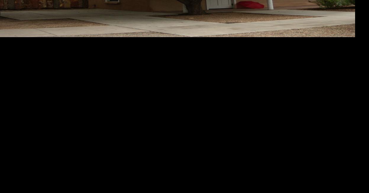 On the realestate value of trees Home/Real Estate