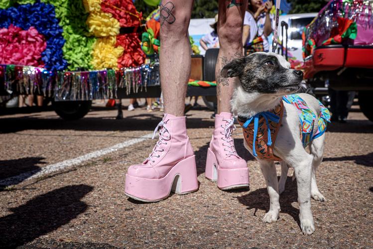 Trans drag performer says Sask. Rush's Pride night was an