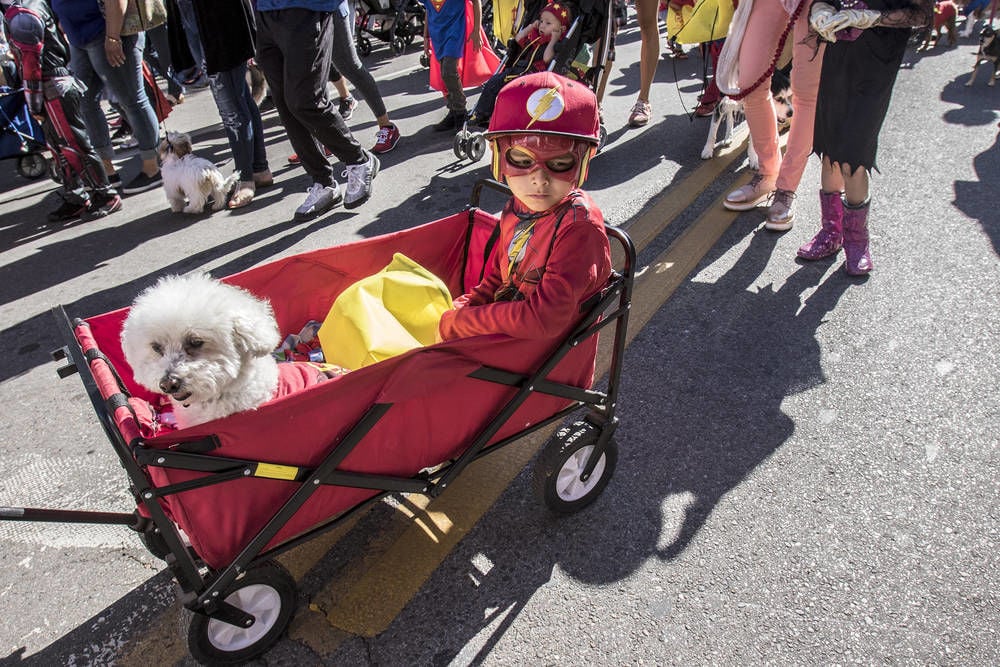 Annual Children’s Pet Parade draws 1,700 human participants in Santa Fe