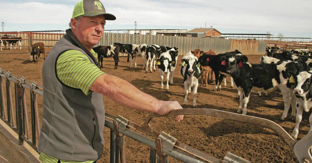State enters into agreements with four southern New Mexico dairies to test for PFAS