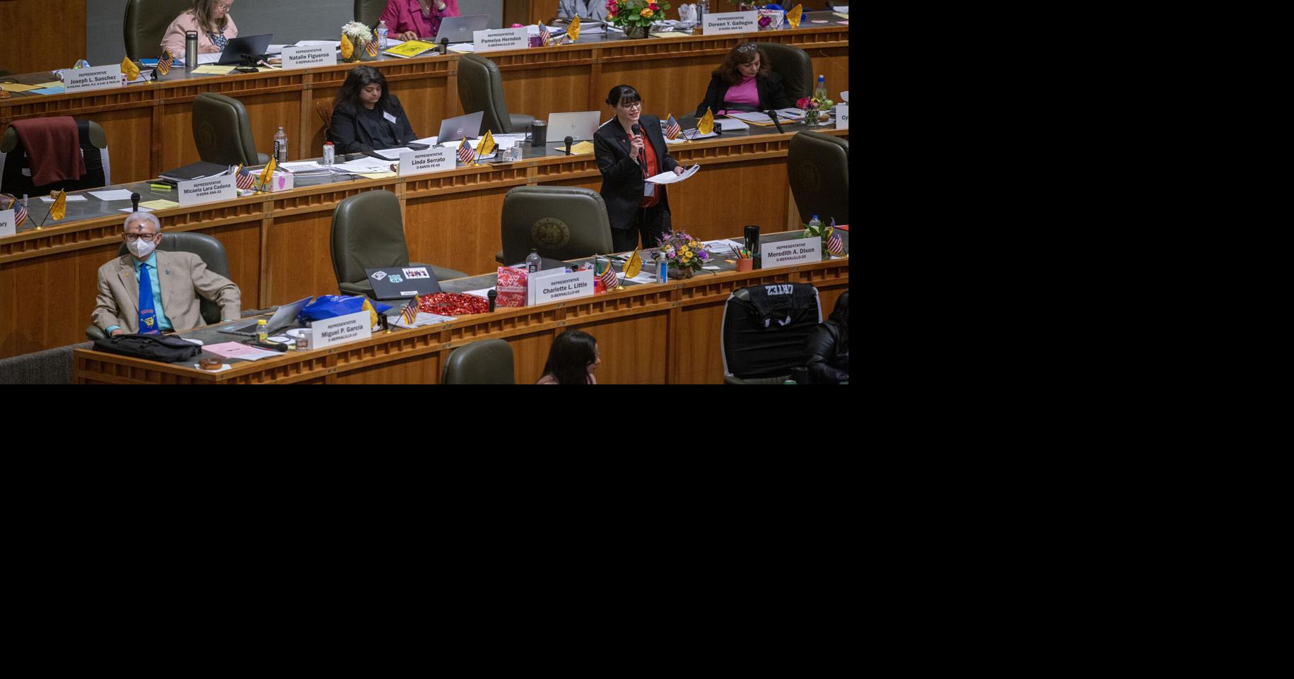 Concerns rise over CYFD modernizing info system after company ends similar contract with Arkansas | Local News