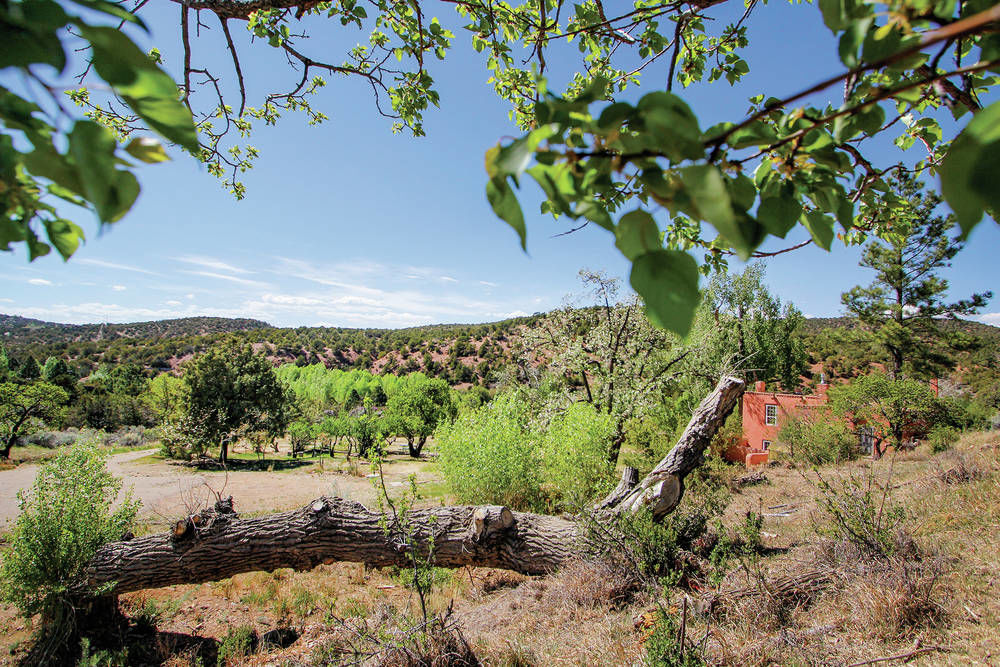 Santa Fe Residents Aren T Crowing Over Audubon Construction Plans Local News Santafenewmexican Com