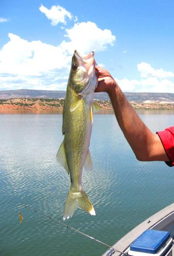 Drought takes long-term toll on state's fishing waters