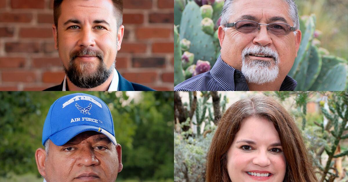 Q&A: Lieutenant governor candidates