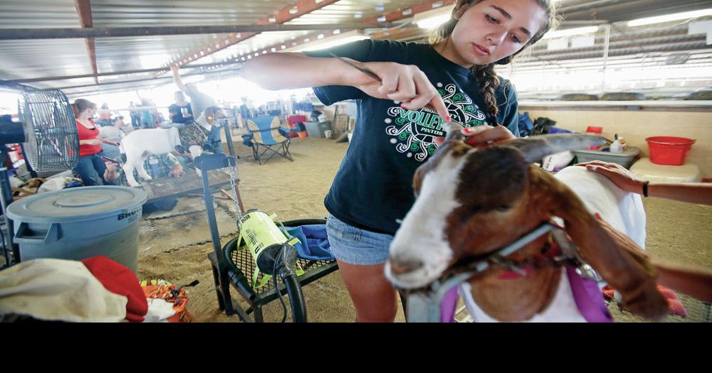 Santa Fe County Fair schedule Local News