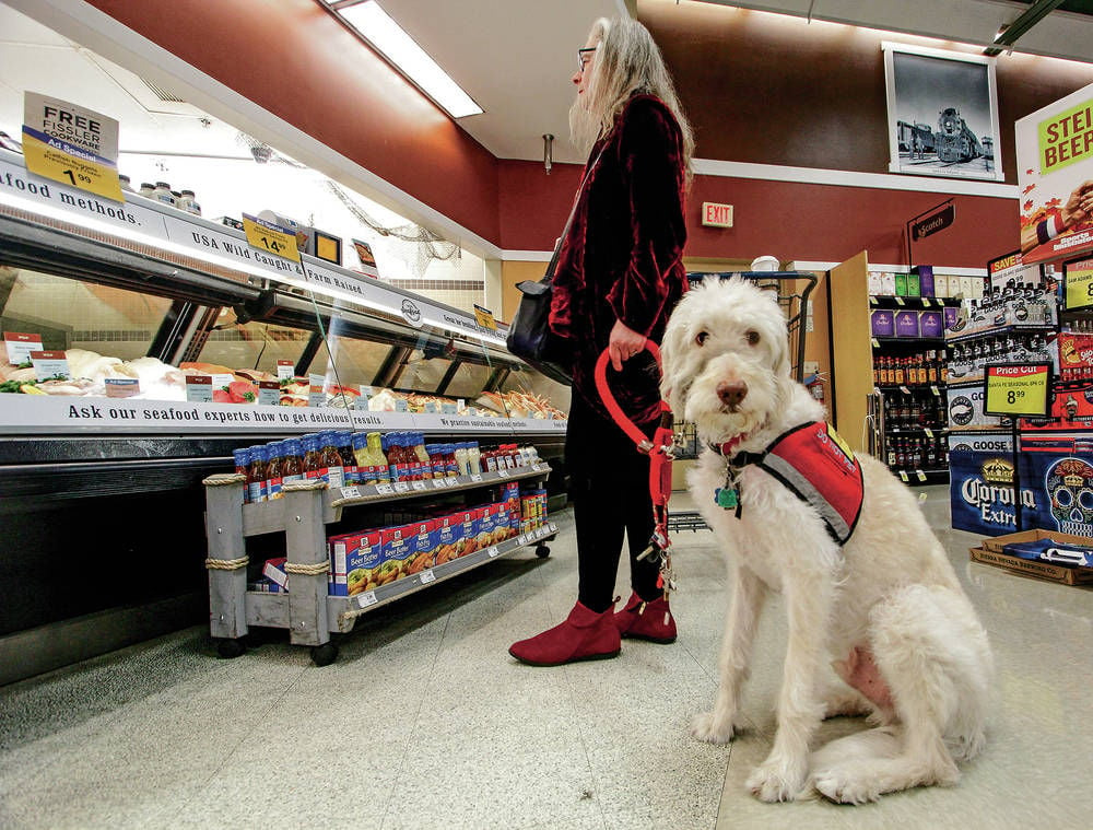 dog grocery store