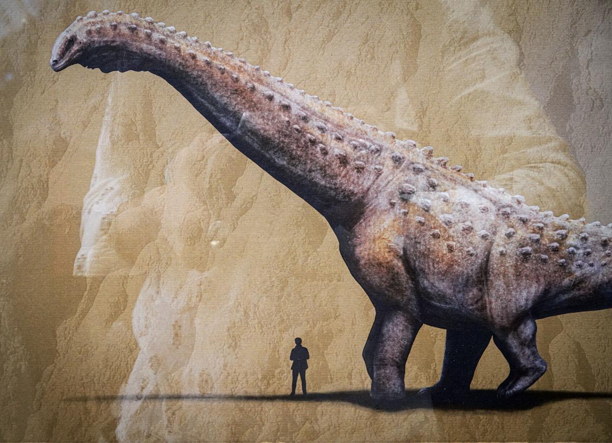Insights and Sounds: Animal Kingdom's Extinct Dino