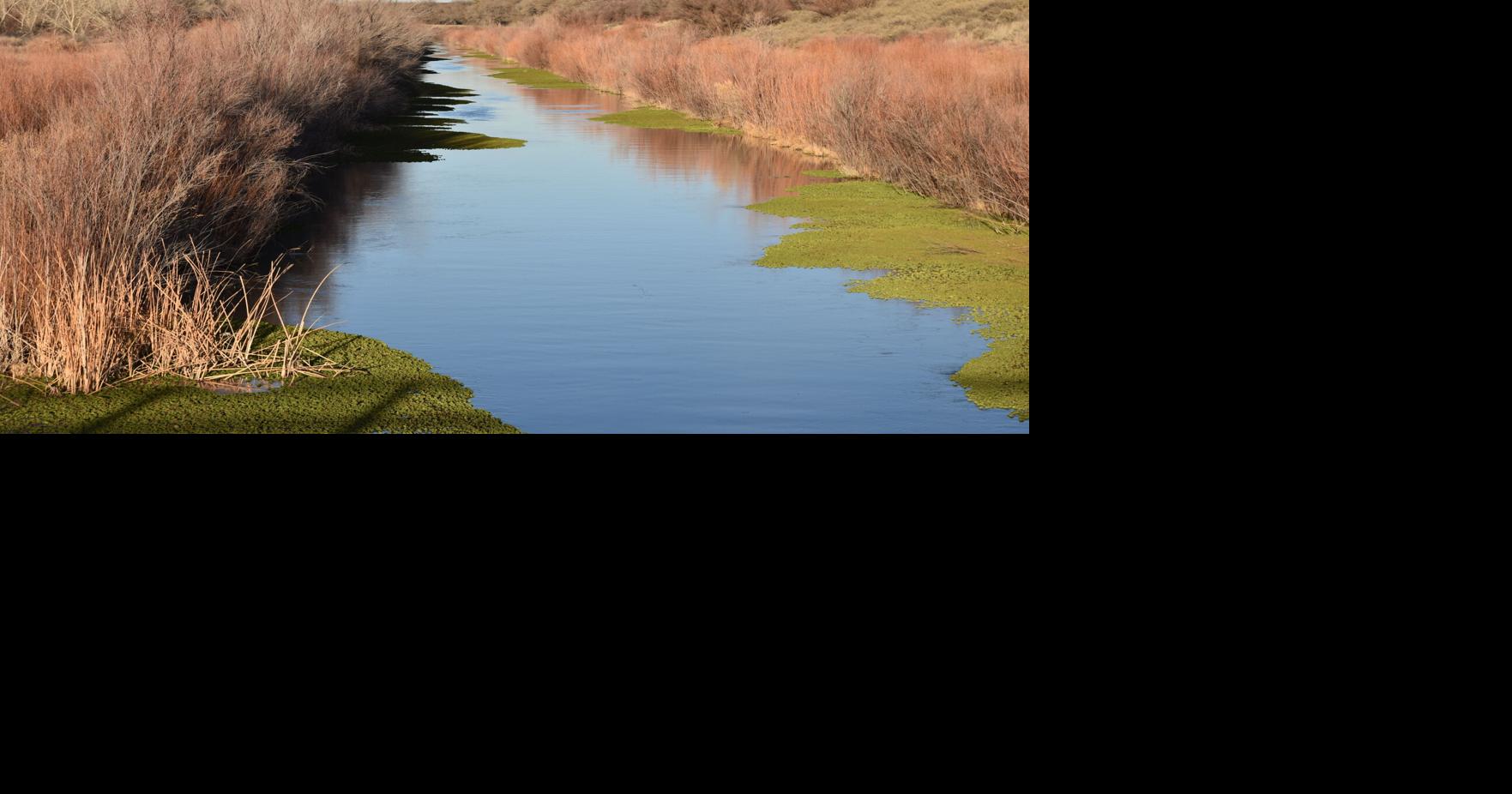 baca water overflow Diverting Rio Grande into decades-old canal could cut New Mexico's debt Lipo B12 Injections for Size:25 Case single-peptide