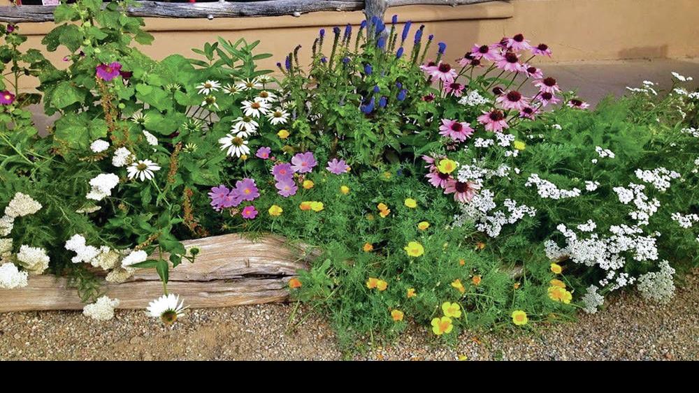 Santa Fe In Bloom Garden Time Has Begun Santa Fe New Mexican Home Real Estate Santafenewmexican Com