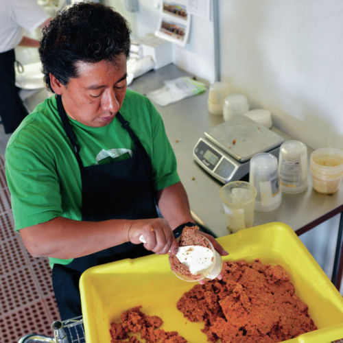 local dog food stores