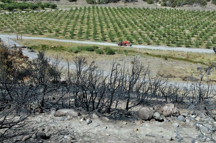 ‘Heart and soul’ returns to Cochiti Pueblo in land swap with state