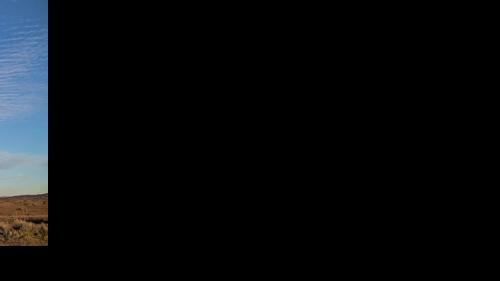 Black Mesa Casino