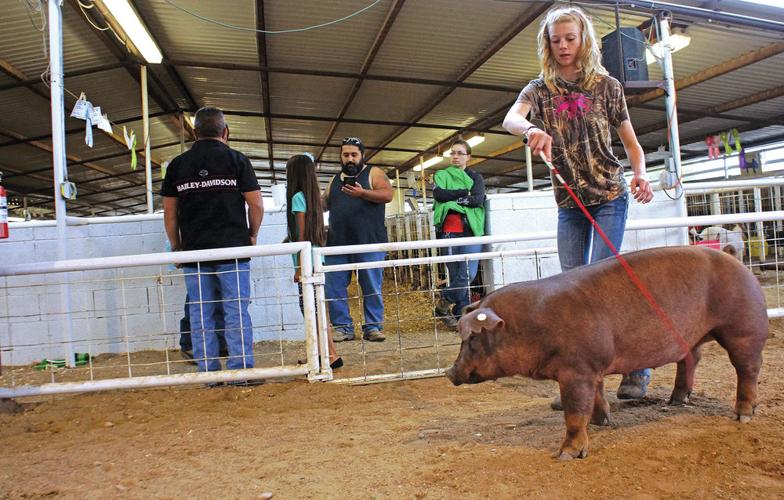 Santa Fe County Fair offers revelry and rivalry for all ages Family