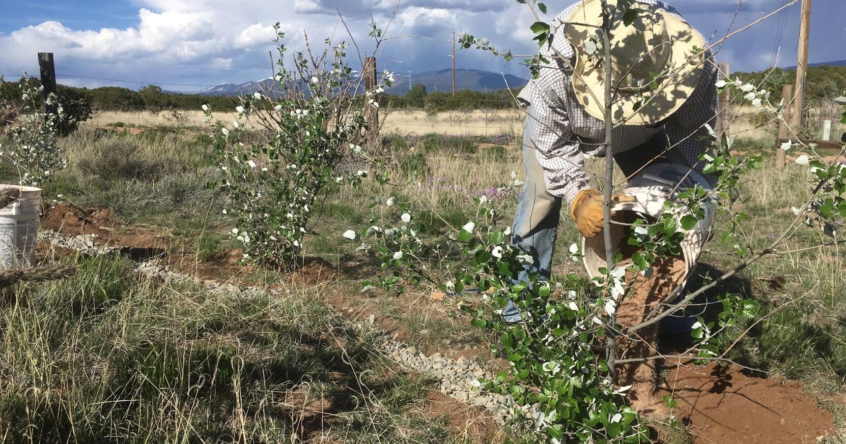 Home building: What's the fuss about Santa Fe's Area 1B? | Real Estate - Vimarsana News