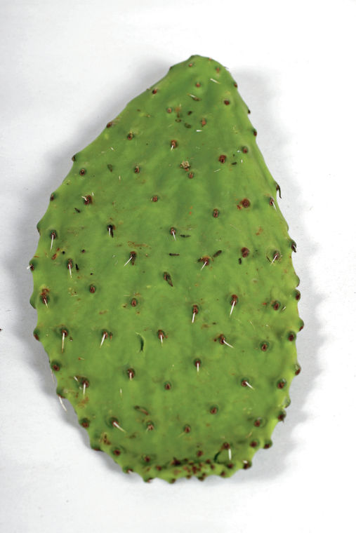 Prickly Pear Cactus Offers Much Versatility In The Kitchen Taste The Santa Fe Dining Scene Santafenewmexican Com