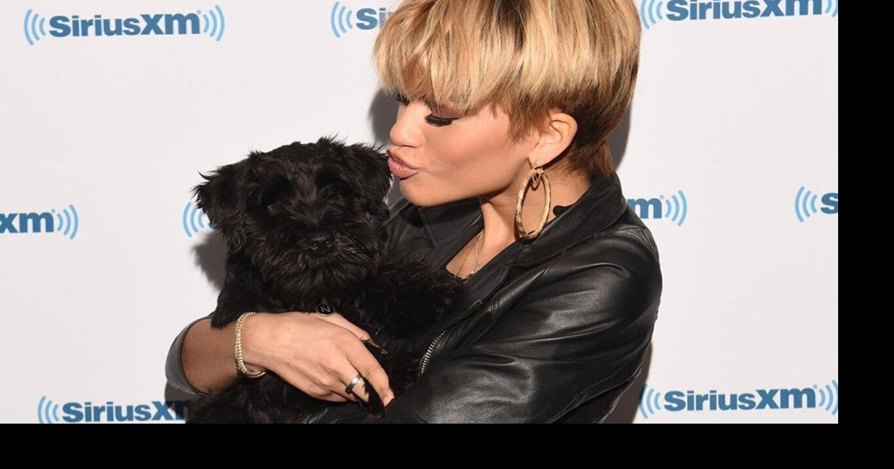 8 celebs and the animals they share their lives with? — KRIPTO — ERYU PROJECT