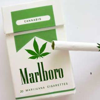 marlboro weed cigarettes price
