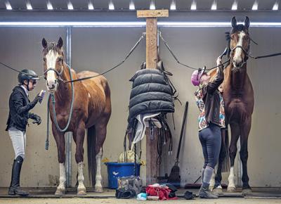 050325 jw hipico biz 1.jpg