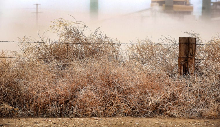 Winds Send Tumbleweeds Flying, Bury Homes In Montana - Videos from The  Weather Channel