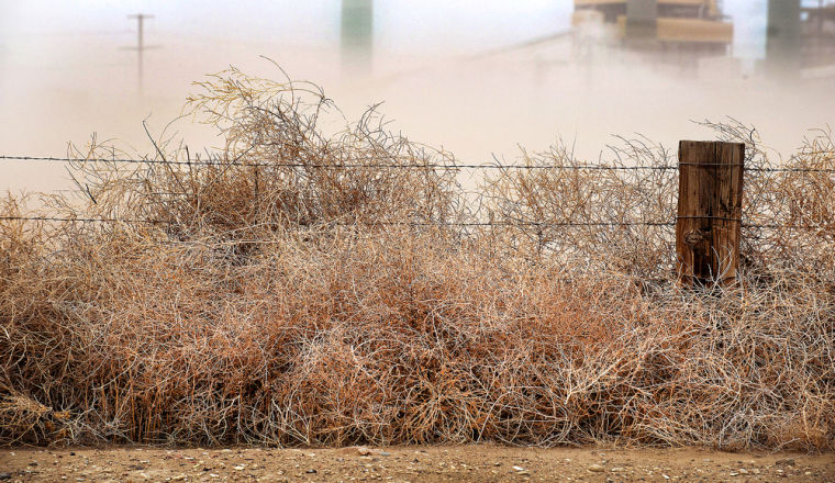 Tumbleweeds overrun Utah neighborhood following strong winds