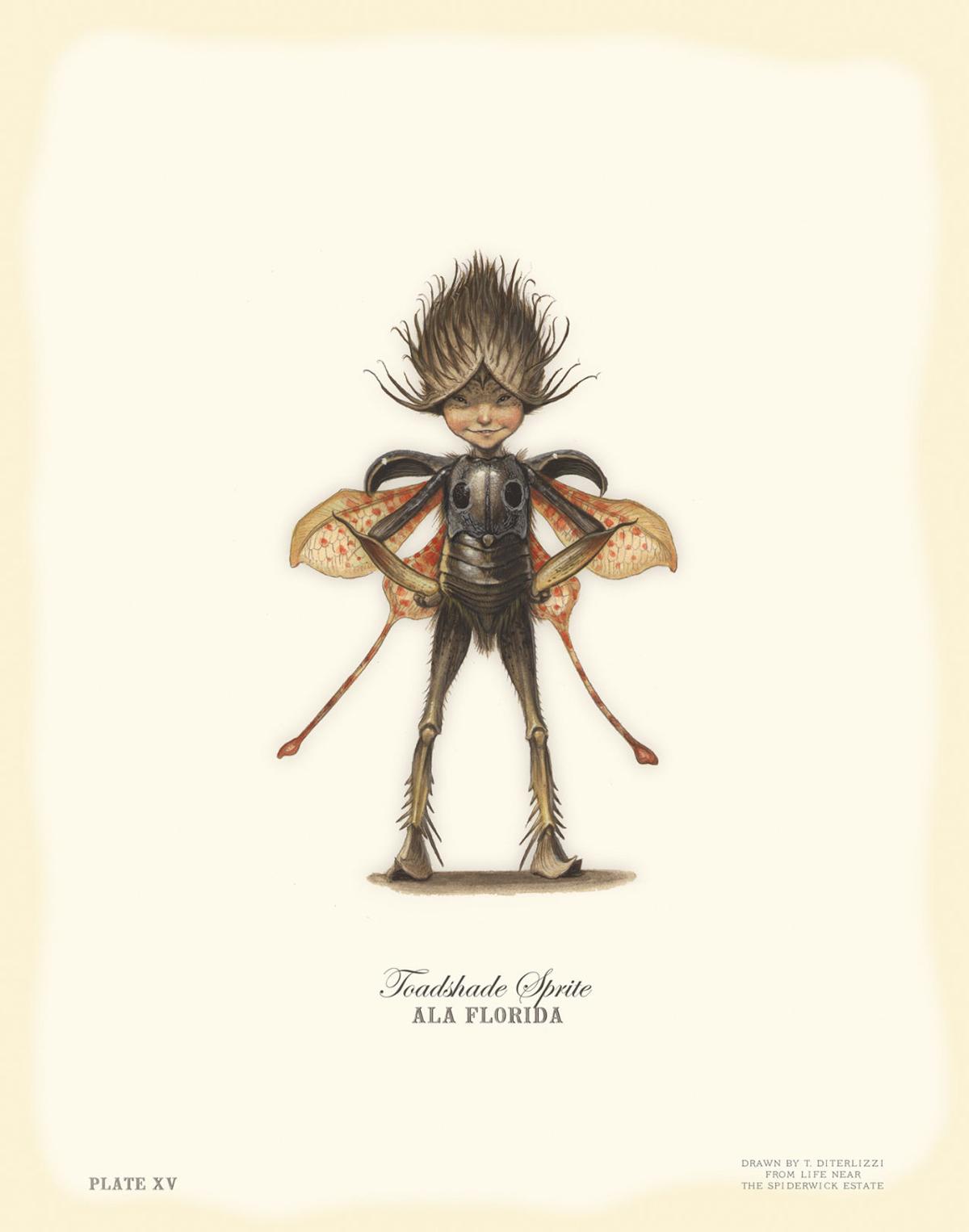 Fantastic Voyager Author Illustrator Tony Diterlizzi Art Santafenewmexican Com