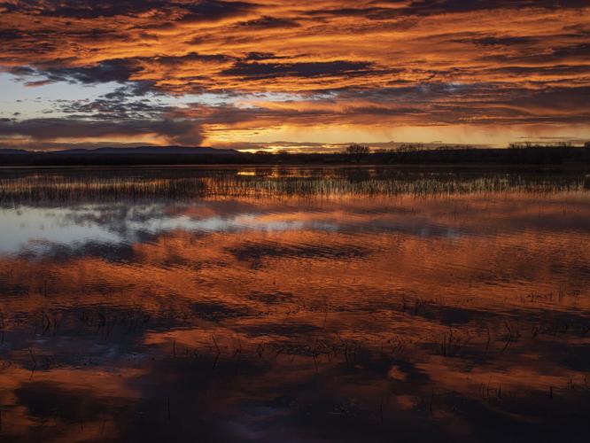 Fiery Morning Pond_RGB.jpg